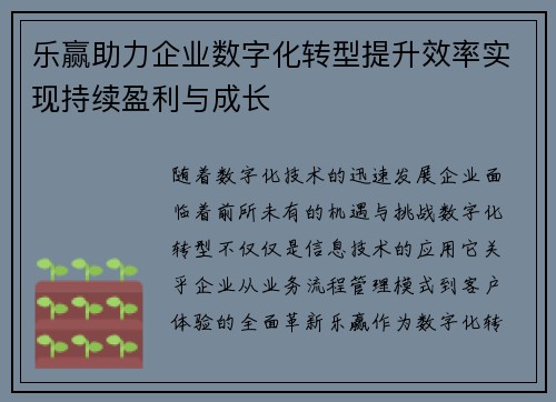 乐赢助力企业数字化转型提升效率实现持续盈利与成长